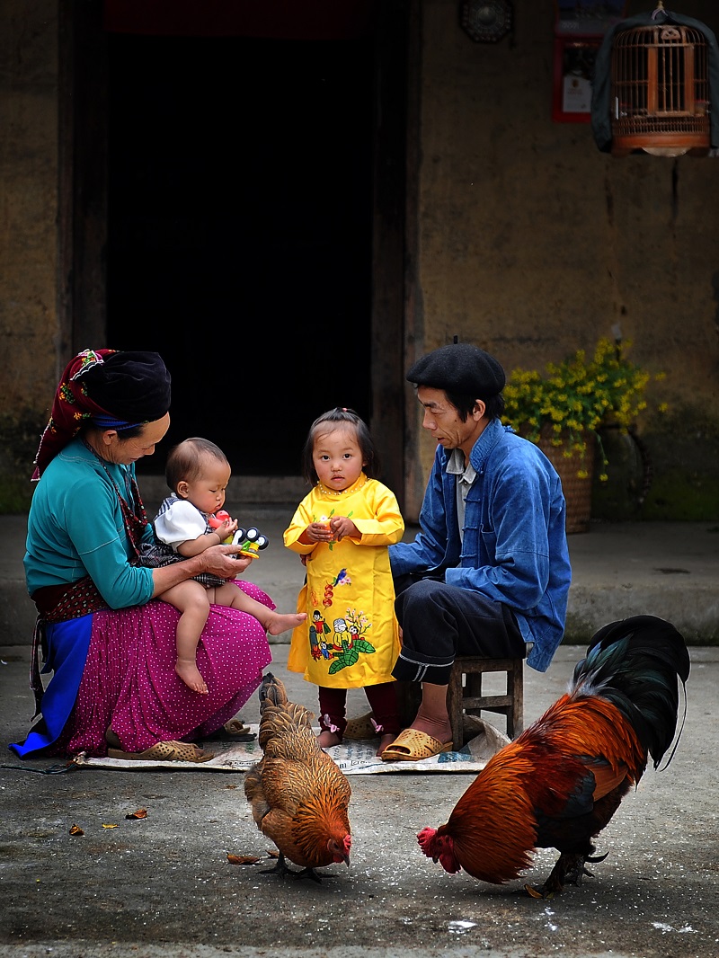 cá cược thể thao hul city